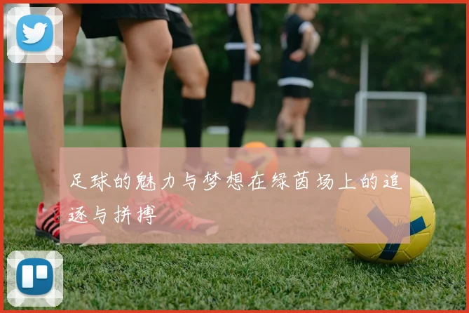 足球的魅力与梦想在绿茵场上的追逐与拼搏