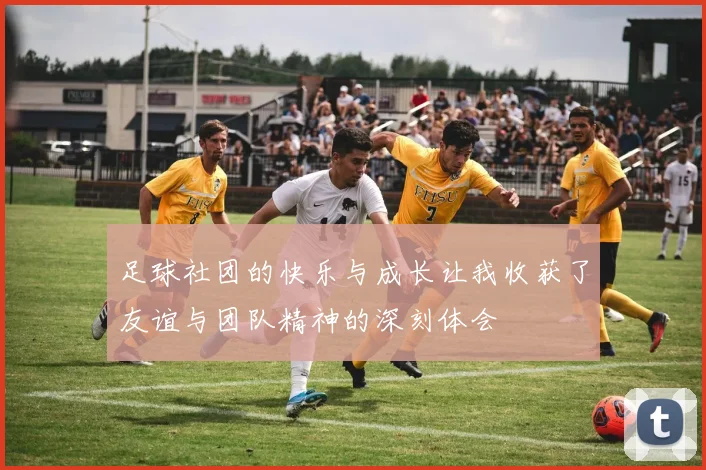 足球社团的快乐与成长让我收获了友谊与团队精神的深刻体会