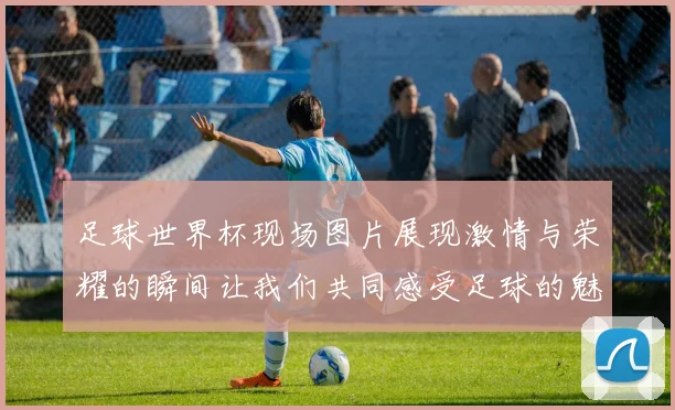 足球世界杯现场图片展现激情与荣耀的瞬间让我们共同感受足球的魅力与团结