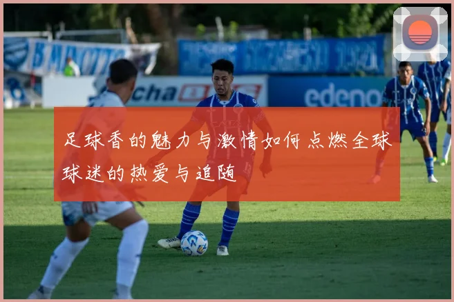 足球香的魅力与激情如何点燃全球球迷的热爱与追随